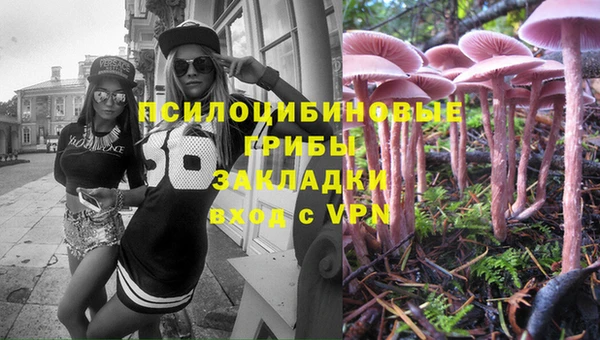 СК Аркадак
